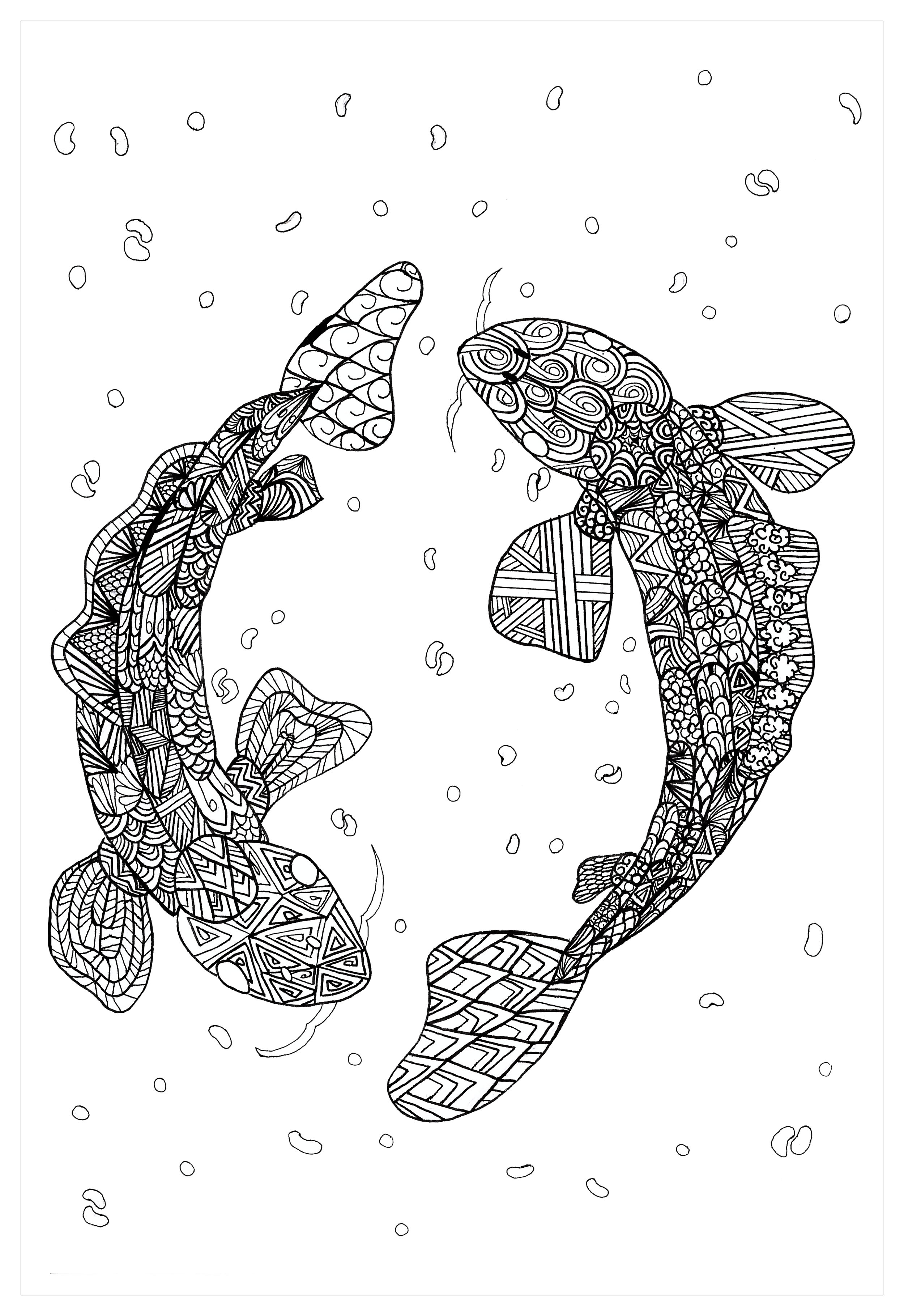 Coloring page of two Koi Carps in Zentangle style. These fishes are highly prized ornamental fish from Asia, Artist : Chloe