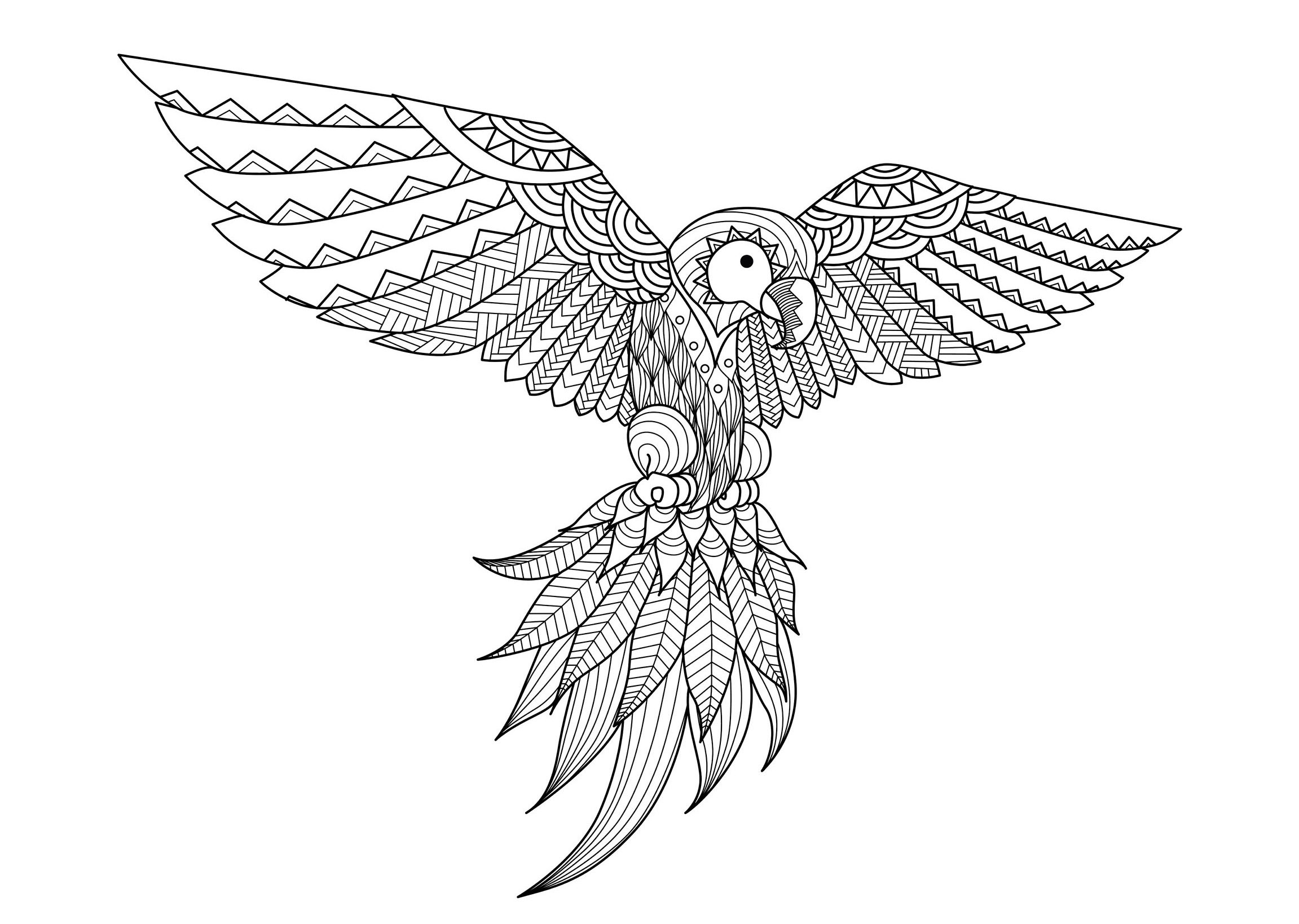 A beautiful Zentangle parrot. Each part of this parrot's body is made up of elegant and varied Zentangle patterns.
