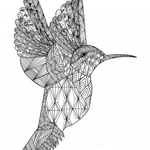 Coloring zentangle colibri by chloe
