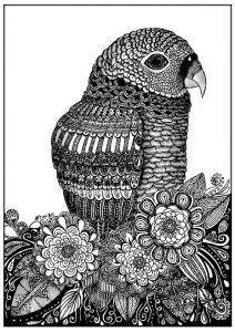 Coloring page adults parrot zentangle sabrina