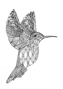 Coloring page of a hummingbird in Zentangle style