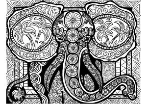 Lines of the elephant