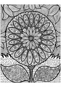 Lines of the flower (Zentangle Coloring Page)