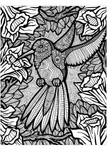 Pretty hummingbird surrounded by flowers (Zentangle Coloring Page)
