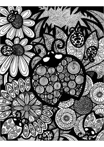 Lines of the ladybug