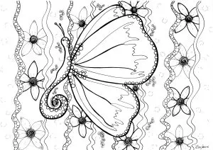Butterfly by zenfeerie