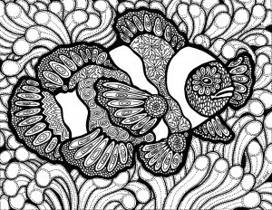 Lines of the clownfish (Zentangle Coloring Page)