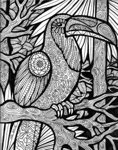 Lines of the toucan (Zentangle Coloring Page)