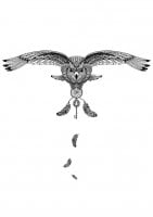 This owl give you the key of its coloring page (Zentangle Coloring Page)