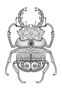 Incredible Beetle with extraordinary patterns (Zentangle Coloring Page)