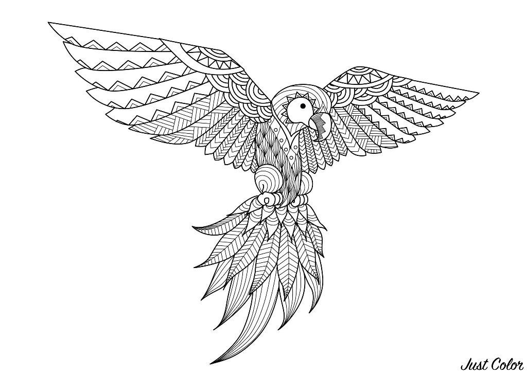 Download Zentangle parrot - Zentangle Adult Coloring Pages