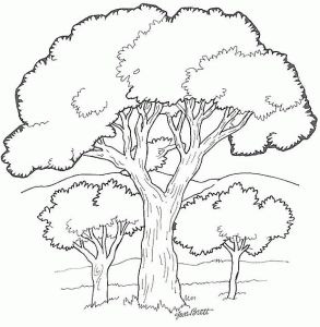 Coloriage_arbre 8