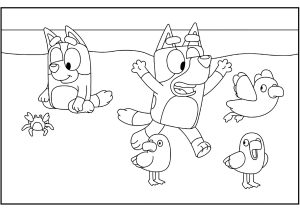 Bluey Et Des Oiseaux