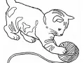 Chat Jouant