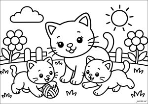 Chatons joueurs sous le soleil