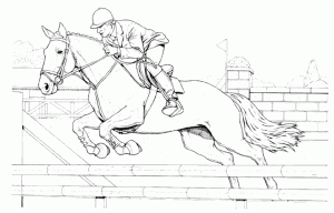 Cheval De Course