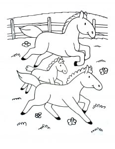 Coloriage Chevaux à imprimer pour enfants