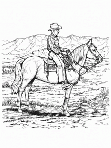 Cow Boy