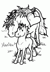 Cheval Et Son Petit