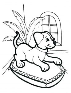 Chien Au Panier