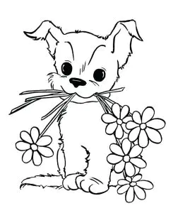 Chien Et Fleurs