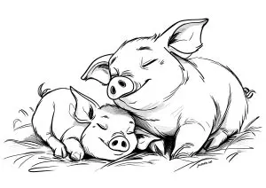 Deux cochons endormis paisiblement