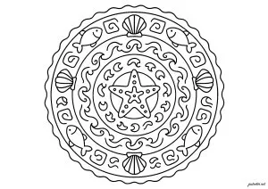 Monde marin symétrique