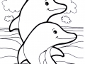 Image De Dauphins à Télécharger Et Colorier