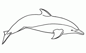 Dessin Simple D'un Dauphin