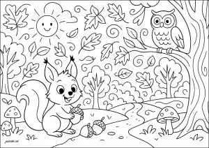 Petit écureuil Et Son Ami Le Hibou