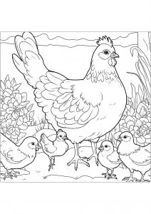 Poule Et Poussins