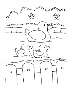 Trois Canards