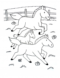 Chevaux En Train De Galoper