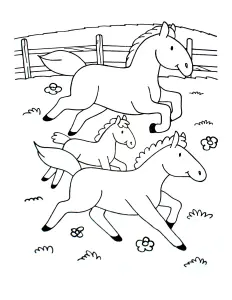 Chevaux En Train De Galoper