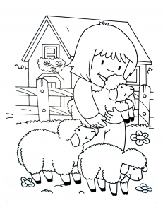 Moutons De La Ferme