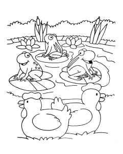 Grenouilles Avec Des Poules
