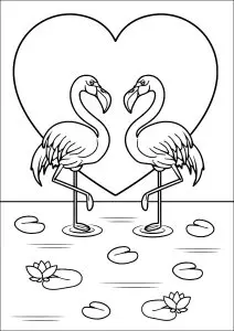 Flamands Roses Avec Joli Coeur En Arrière Plan