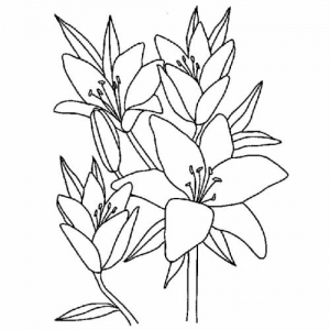 Coloriage fleurs 1 2