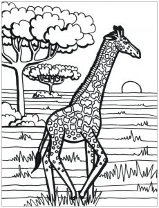 Girafe Qui Court