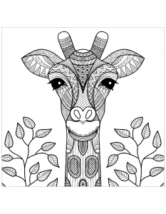 Gratuit Tete De Girafe Et Feuilles