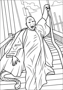 Voldemort dans le combat final