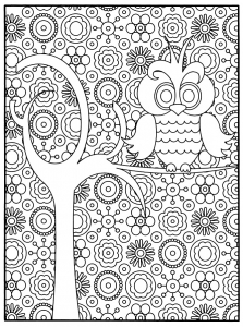 Coloriage hibou arbre fond motifs