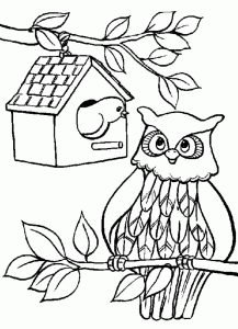 Coloriage hibou arbre