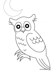 Coloriage De Hiboux à Télécharger