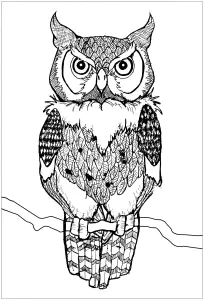 Dessin De Hiboux Gratuit à Télécharger Et Colorier