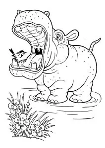 L'Hippopotame et l'oiseau