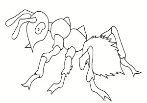 Insectes fourmi 5