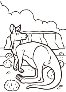 Image De Kangourou à Imprimer Et Colorier