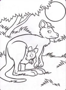 Coloriage De Kangourou à Imprimer Pour Enfants