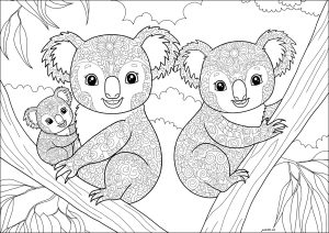 Famille Koala, avec motifs à colorier